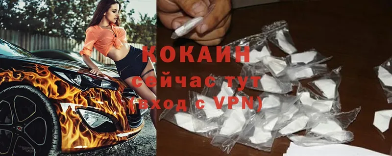 Cocaine FishScale  MEGA зеркало  Дагестанские Огни 